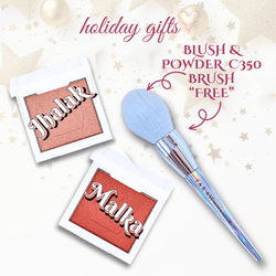 Holiday Shop Set (Eighteen)