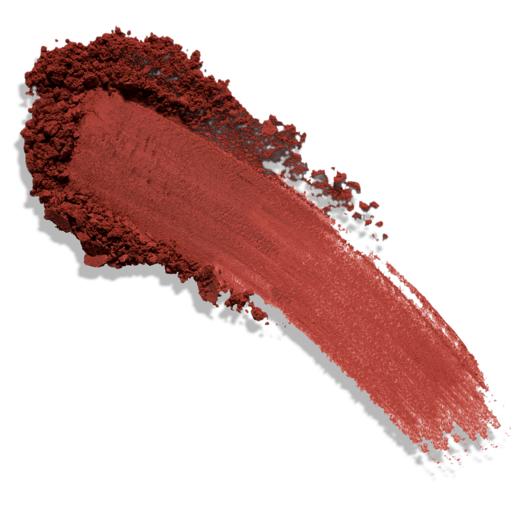 Holiday Shop Set (Eighteen)