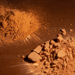 FARAH Eyeshadow Quads