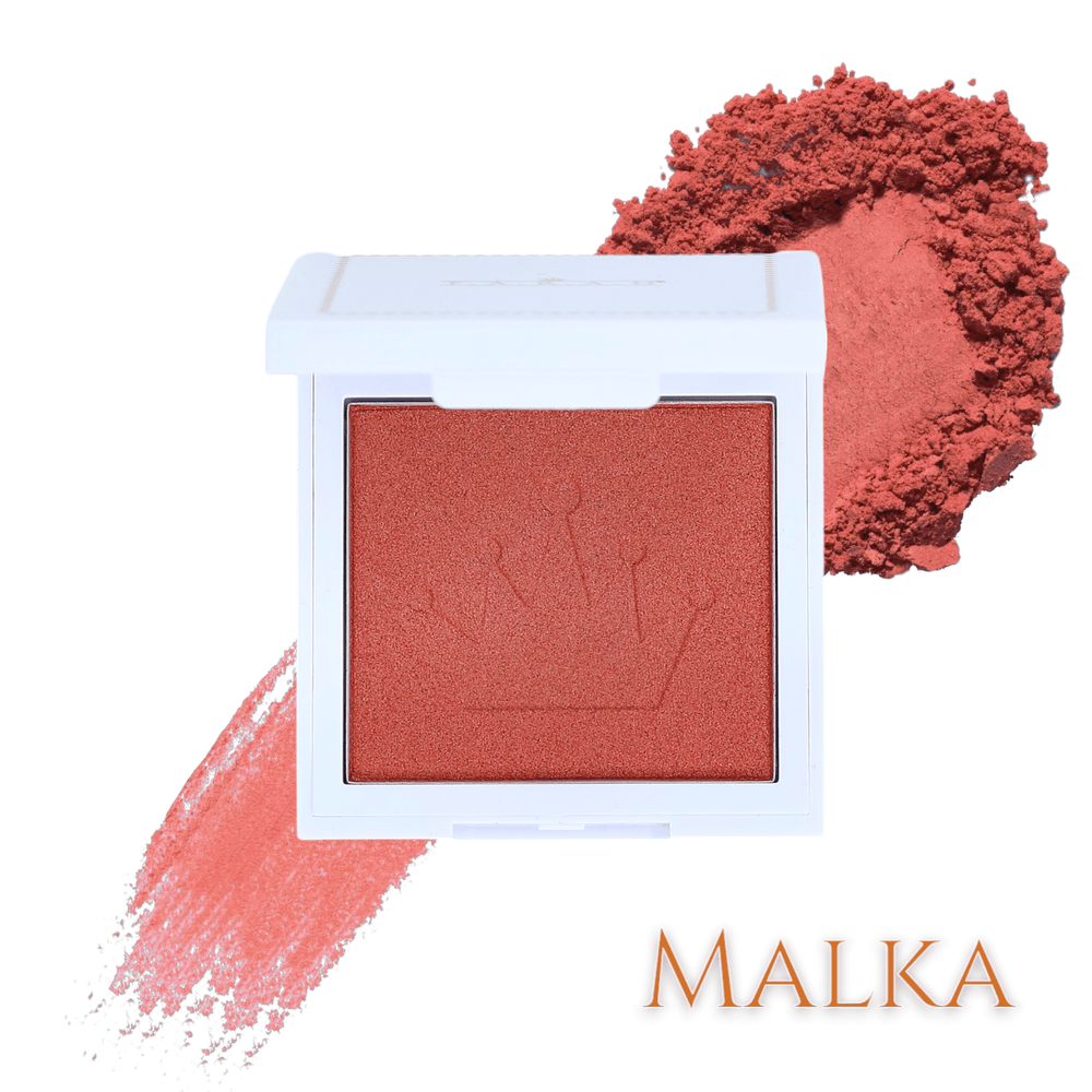 Holiday Shop Set (Eighteen)