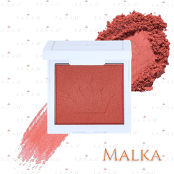 Holiday Shop Set (Eighteen)