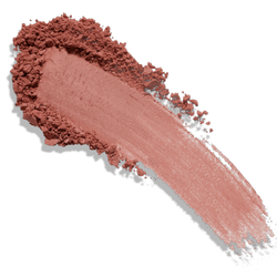 Holiday Shop Set (Eighteen)