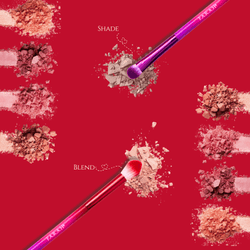 Blush-Highlight - Shade-Blend set