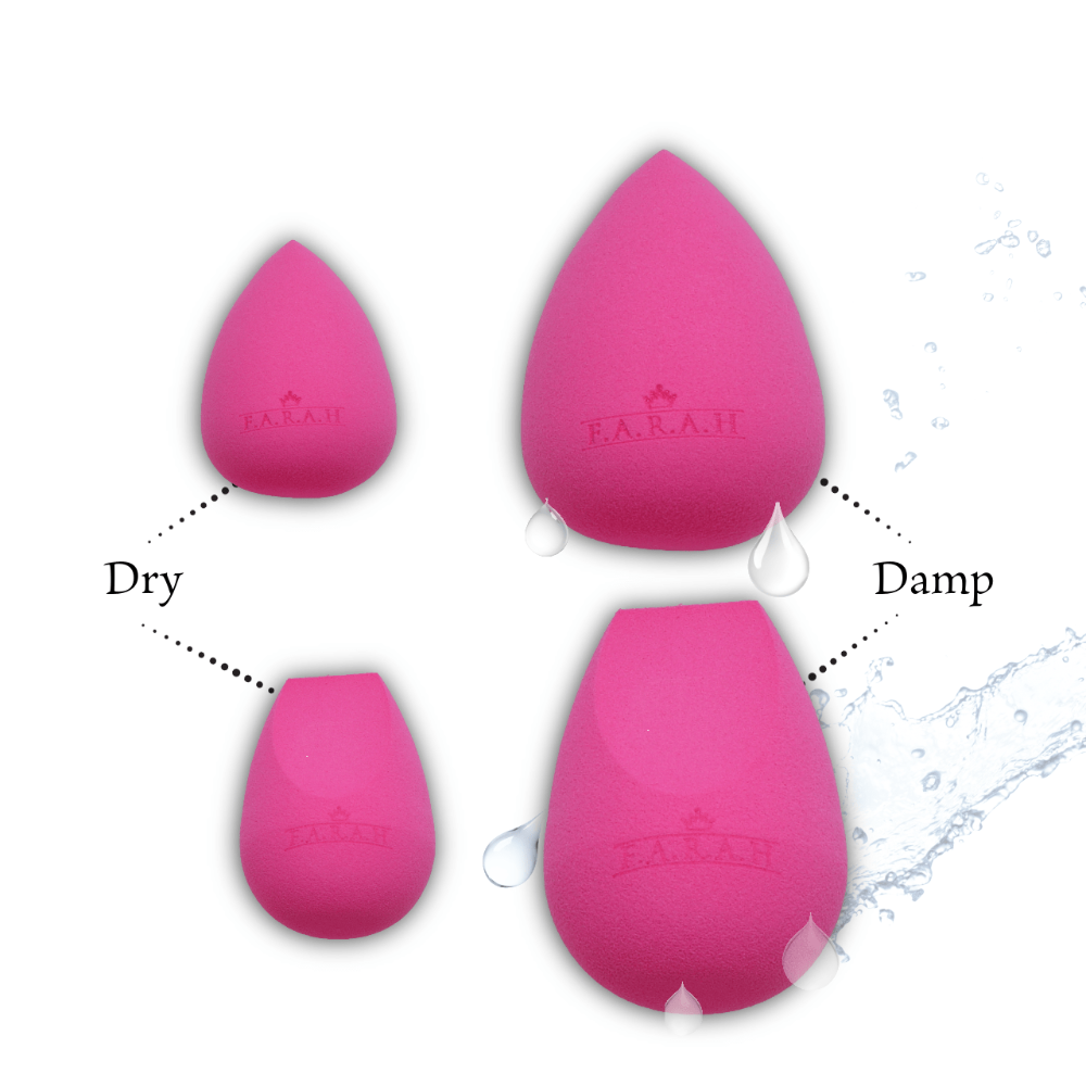 Signature Brush Collection