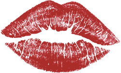 MATTE BO$$ LIQUID LIP PIGMENTS Collection